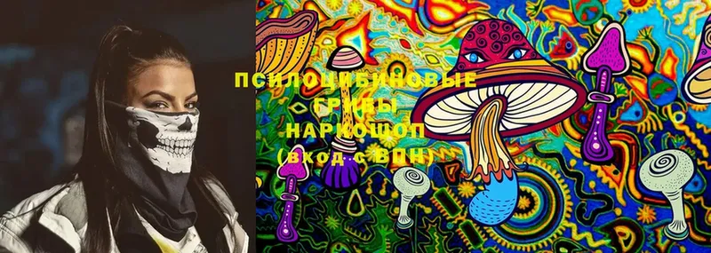 Галлюциногенные грибы Magic Shrooms  Волгореченск 